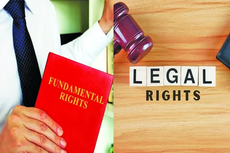 Law Basics and Rights Everyone Should Understand Today Law Basics