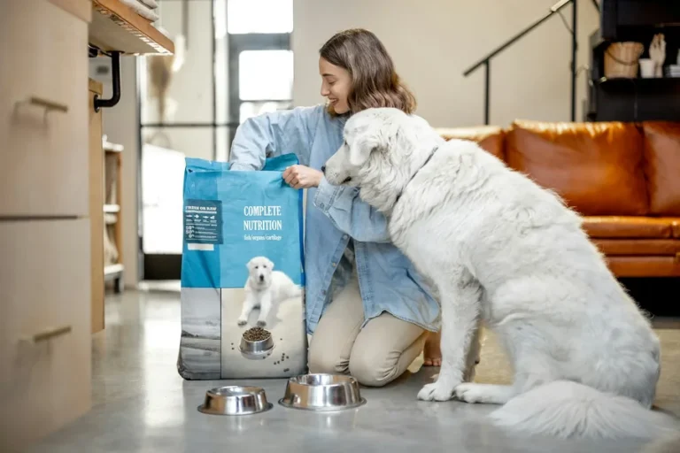 Pet Care
