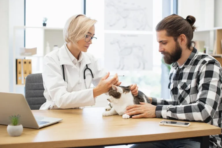 North Carolina Emotional Support Animal Laws Explained Animal Laws